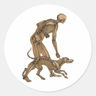 skelet man en hond menselijke anatomie kunst ronde sticker