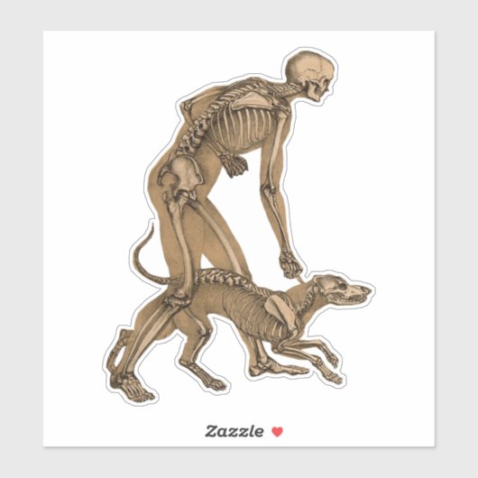 skelet man en hond menselijke anatomie kunst sticker (Vel)