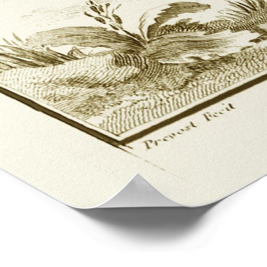  skelet, menselijke anatomie van Denis Diderot Poster (Hoek)