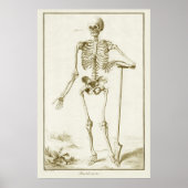 skelet, menselijke anatomie van Denis Diderot Poster (Voorkant)