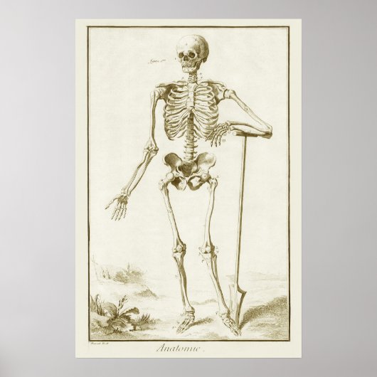  skelet, menselijke anatomie van Denis Diderot Poster (Voorkant)