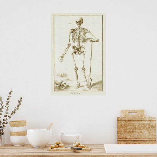 skelet, menselijke anatomie van Denis Diderot Poster (Keuken)
