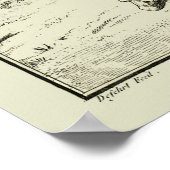 skelet, menselijke anatomie van Denis Diderot Poster (Hoek)