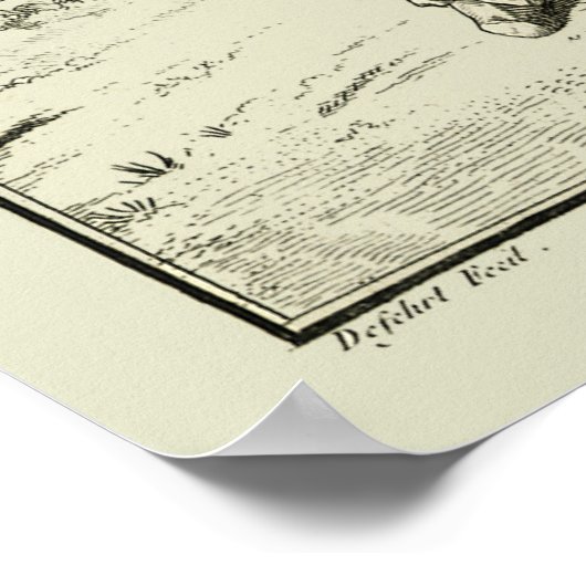  skelet, menselijke anatomie van Denis Diderot Poster (Hoek)