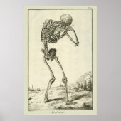 skelet, menselijke anatomie van Denis Diderot Poster (Voorkant)