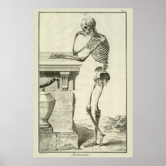  skelet, menselijke anatomie van Denis Diderot Poster (Voorkant)