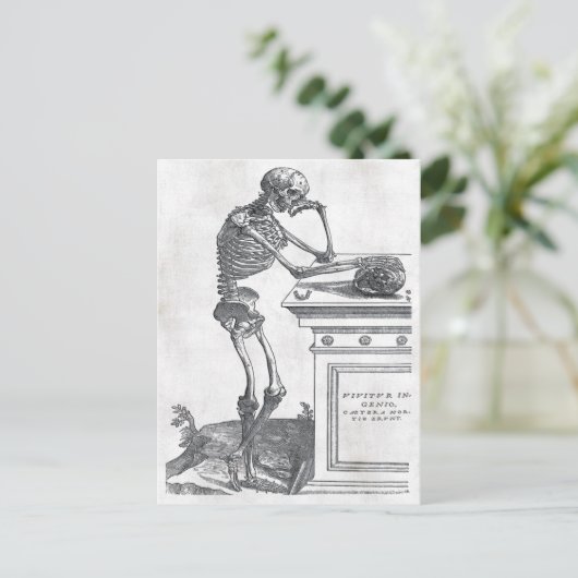 Skelet met Briefkaart van de schedel (Staand voorkant)