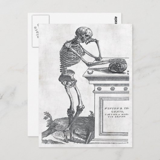 Skelet met Briefkaart van de schedel (Voorkant / Achterkant)