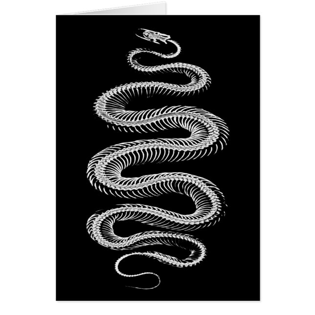 Skelet met slangen (Voorkant)