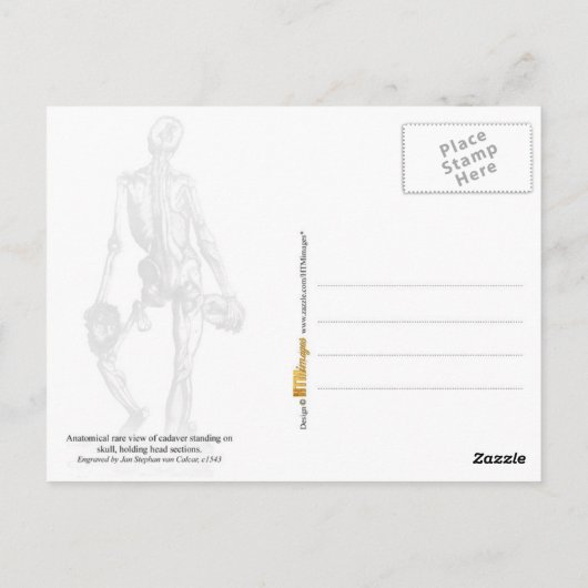 Skelet op de schedel briefkaart (Achterkant)