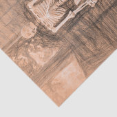 Skelet Oude Antieke Sepia Kunstschets Tissuepapier (Detail)
