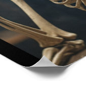 Skelet poster (Hoek)