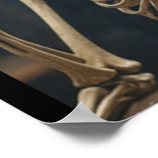 Skelet poster (Hoek)