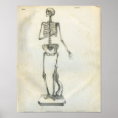  Skelet Print 1854 (Voorkant)