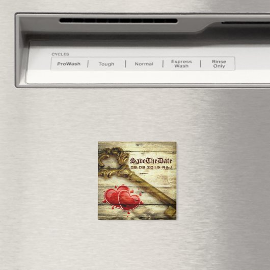  skelet sleutel Victoriaans steampunk bruiloft Magneet (Insitu (Vaatwasser))