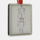 Skelet van Australopithecus africanus Metalen Ornament (Rechts)