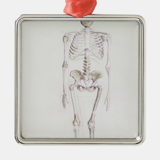 Skelet van Australopithecus africanus Metalen Ornament (Voorkant)