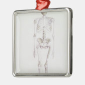 Skelet van Australopithecus africanus Metalen Ornament (Links)