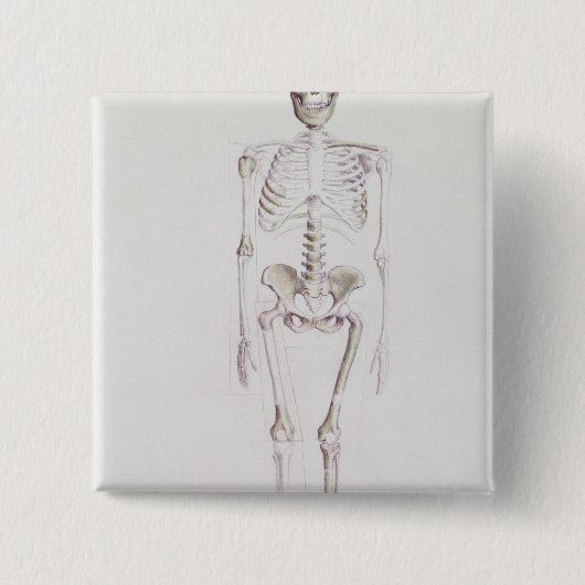 Skelet van Australopithecus africanus Vierkante Button 5,1 Cm (Voorkant)