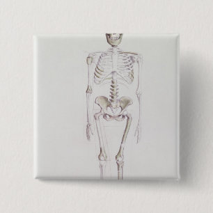Skelet van Australopithecus africanus Vierkante Button 5,1 Cm
