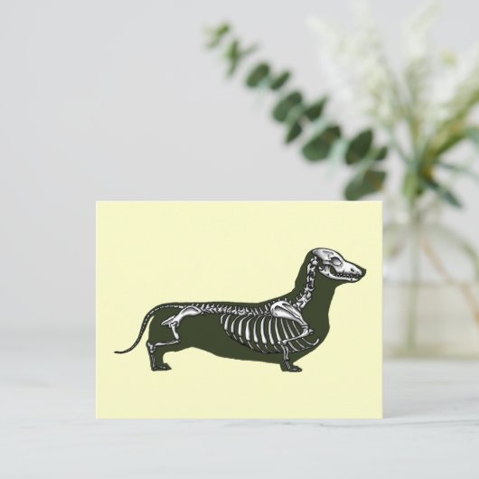 skelet van dachshund briefkaart (Staand voorkant)