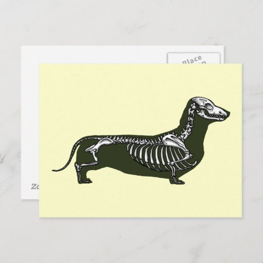 skelet van dachshund briefkaart (Voorkant / Achterkant)