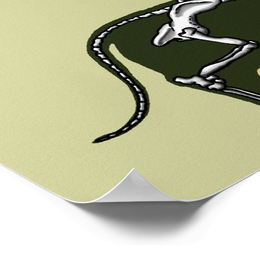 skelet van dachshund poster (Hoek)