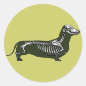 skelet van dachshund ronde sticker (Voorkant)