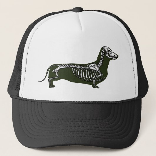 skelet van dachshund trucker pet (Voorkant)