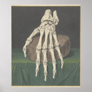 Skelet van een hand van Jan l Admiral Poster