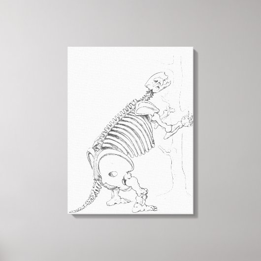 Skelet van een Mylodon Canvas Afdruk (Voorkant)
