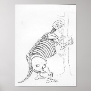 Skelet van een Mylodon Poster
