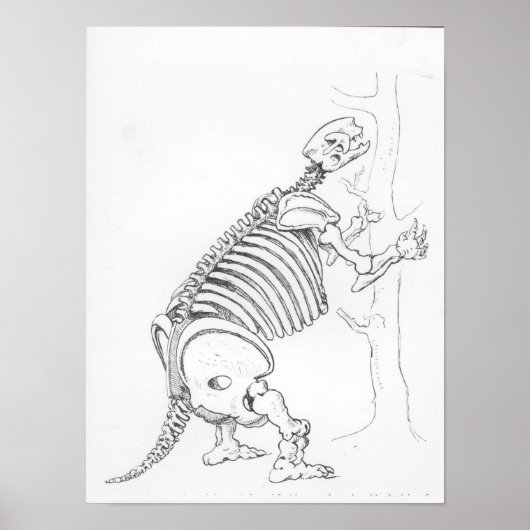 Skelet van een Mylodon Poster (Voorkant)