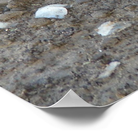 Skelet van een vis poster (Hoek)