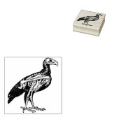 Skelet van een vogel rubberstempel (Gestempeld)