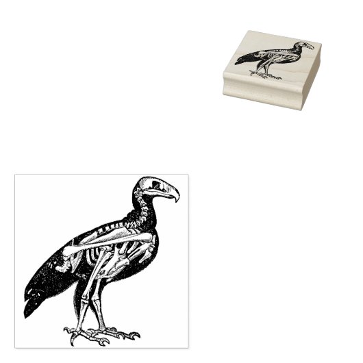 Skelet van een vogel rubberstempel (Gestempeld)