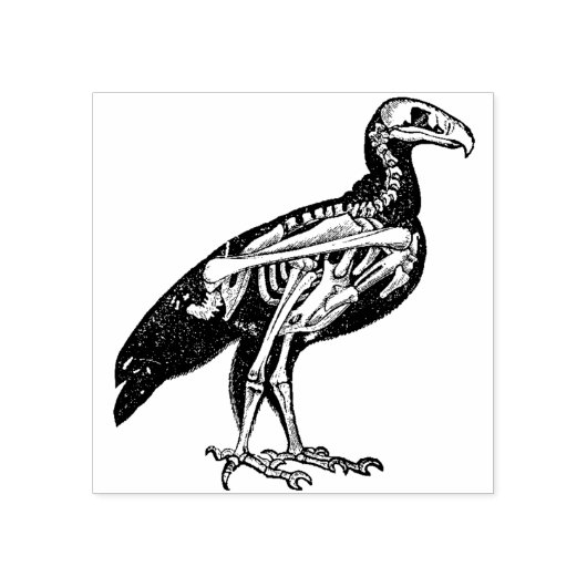 Skelet van een vogel rubberstempel (Afrduk)