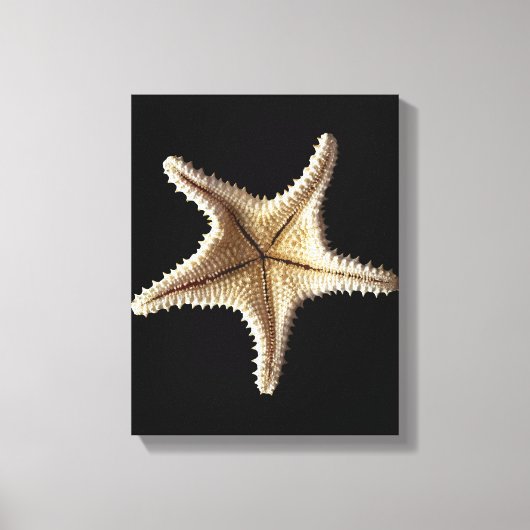Skelet van Starfish, close-up 2 Canvas Afdruk (Voorkant)