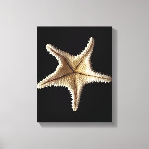 Skelet van Starfish, close-up 2 Canvas Afdruk