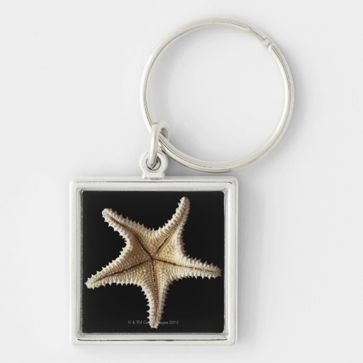 Skelet van Starfish, close-up 2 Sleutelhanger (Voorkant)