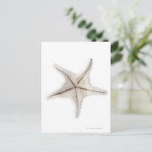 Skelet van Starfish, close-up Briefkaart (Staand voorkant)