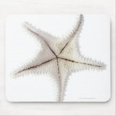 Skelet van Starfish, close-up Muismat (Voorkant)