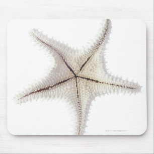 Skelet van Starfish, close-up Muismat