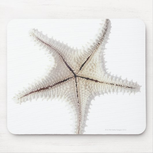 Skelet van Starfish, close-up Muismat (Voorkant)