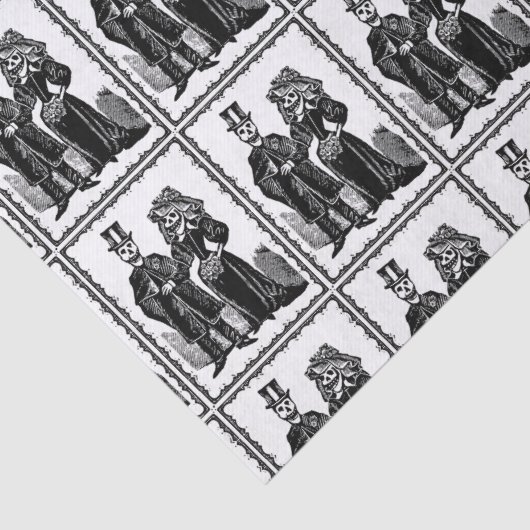 Skelet - Weefselomhulsel Tissuepapier (Detail)