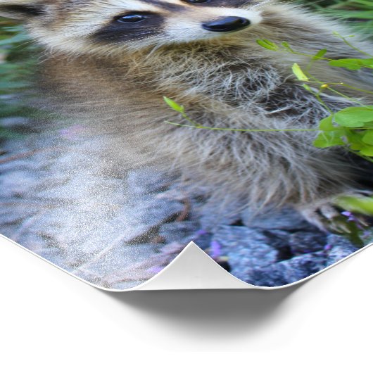 Skeletafdruk Foto Afdruk (Hoek)