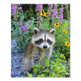 Skeletafdruk Foto Afdruk