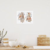 Skeletanatomie van de hand poster (Keuken)