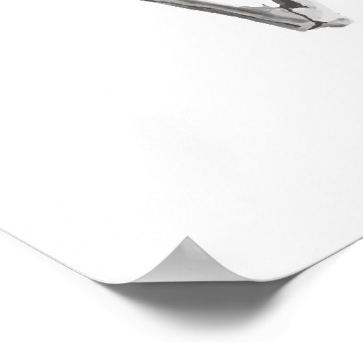 Skeletbaphomet Poster (Hoek)