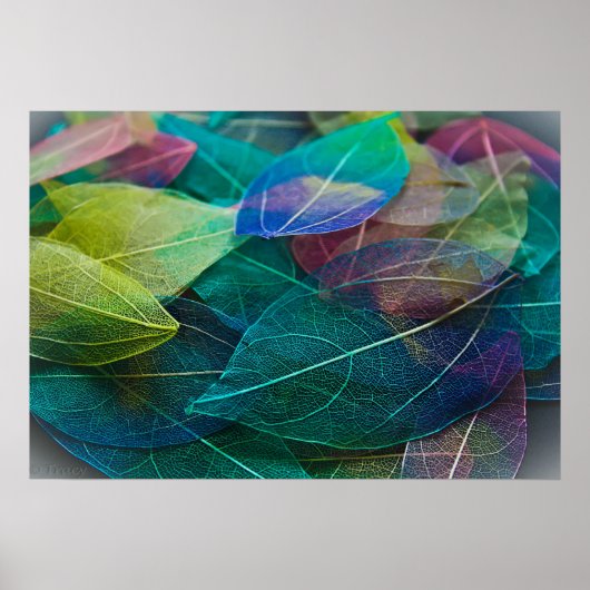 Skeletbladeren Poster (Voorkant)